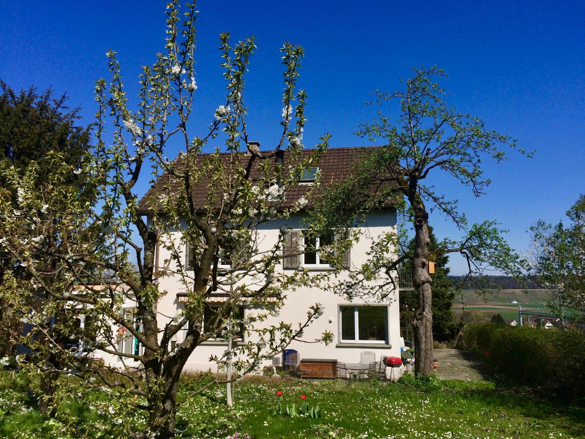 Guntli'S Family Guesthouse Andelfingen Exterior foto